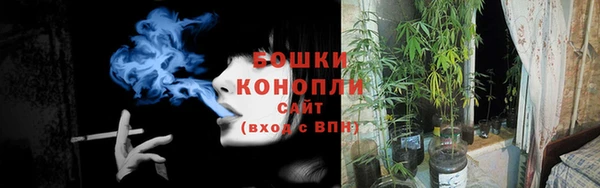 не бодяженный Беслан