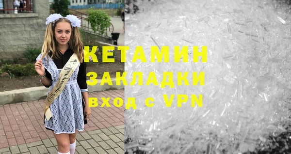 шишки Надым