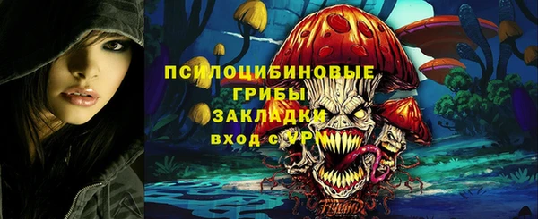 ПСИЛОЦИБИНОВЫЕ ГРИБЫ Бикин