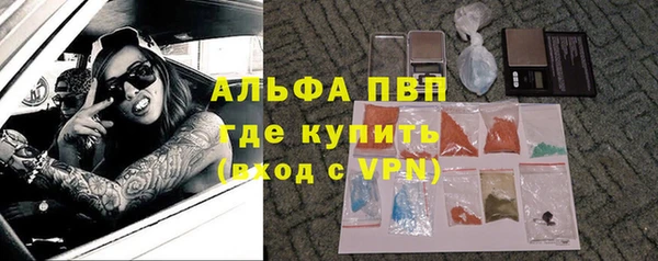 ПСИЛОЦИБИНОВЫЕ ГРИБЫ Бикин