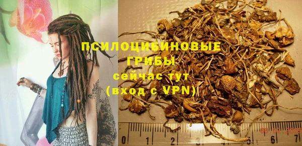 ПСИЛОЦИБИНОВЫЕ ГРИБЫ Бикин