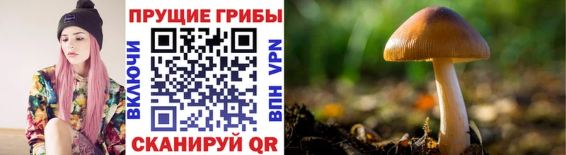 Галлюциногенные грибы ЛСД  Луховицы 