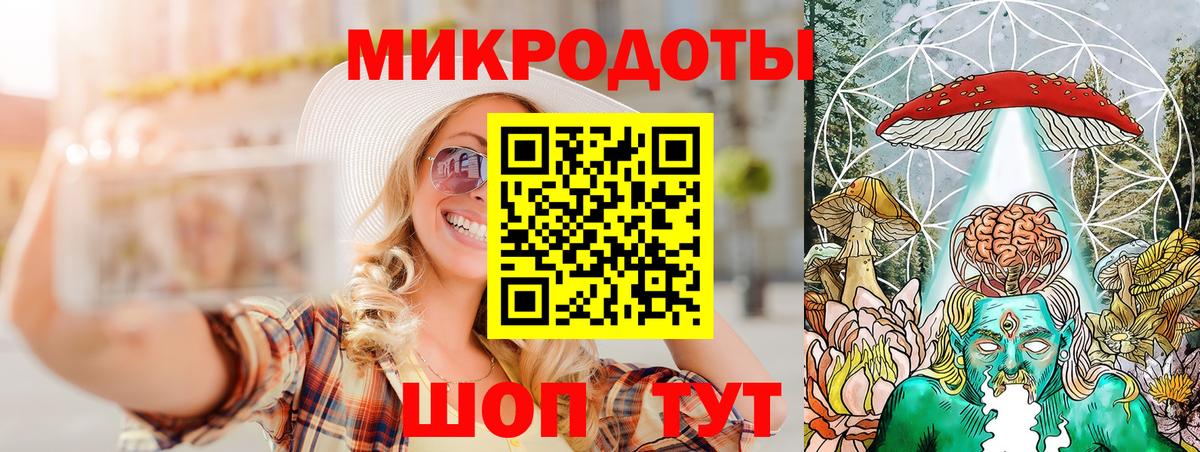 Псилоцибиновые грибы Psilocybe  Луховицы 